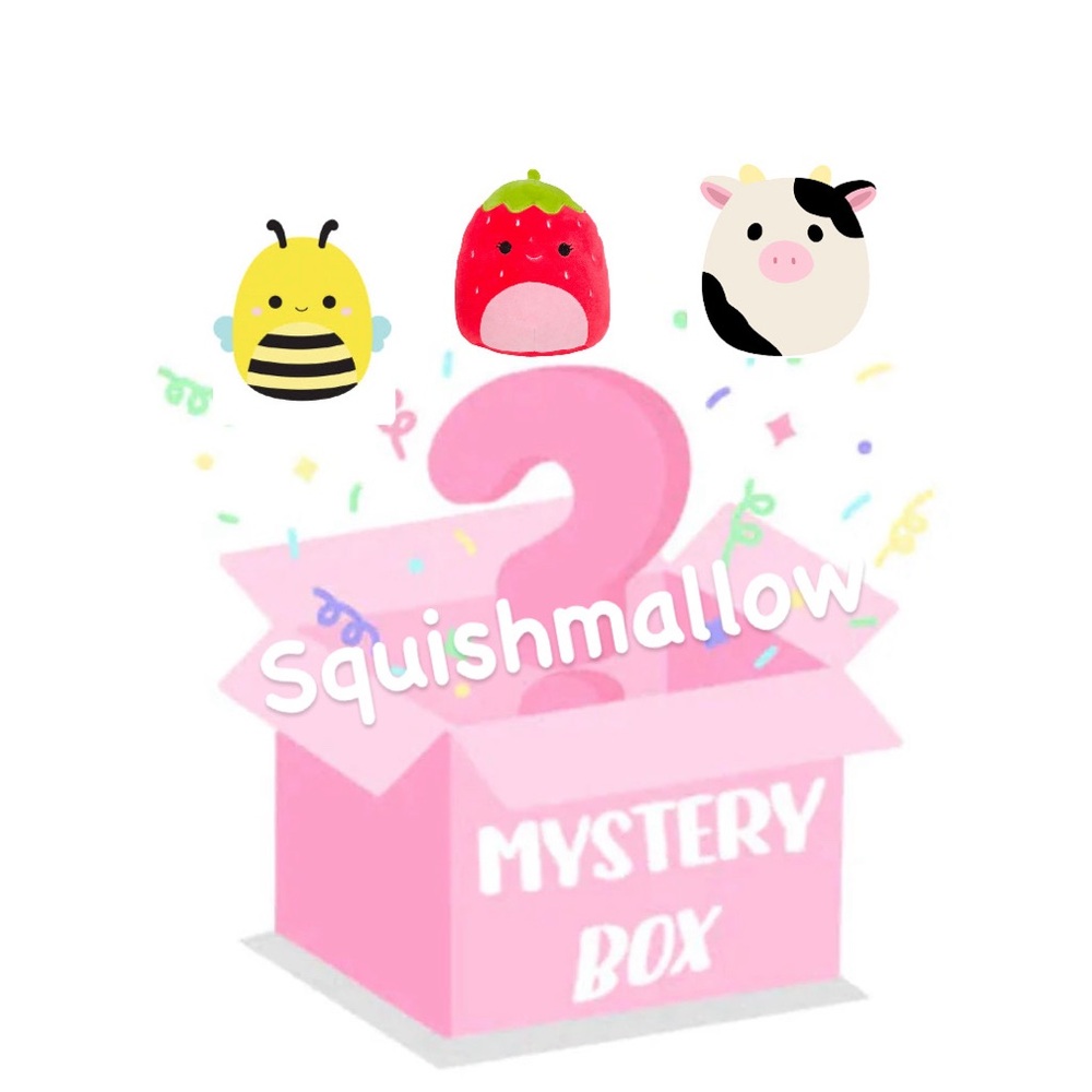 4/$20 Squishmallow Mystery Box